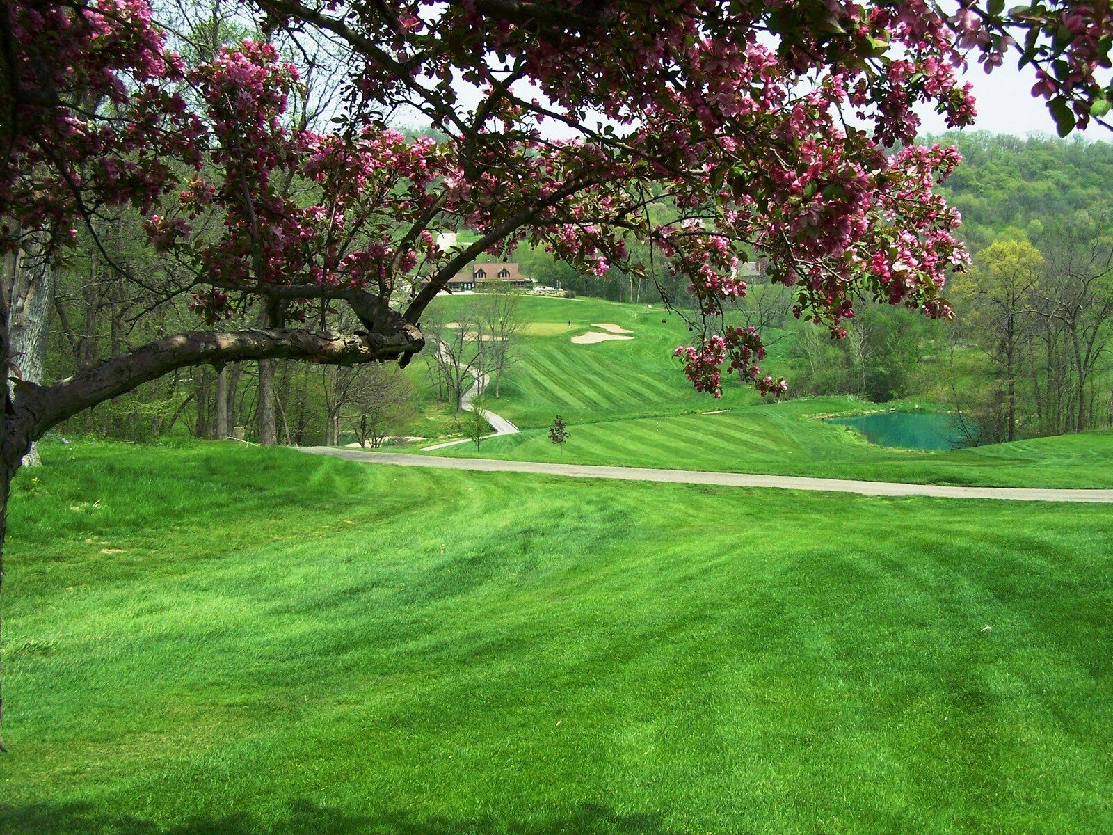 Eagle Ridge Resort And Spa Galena Kültér fotó
